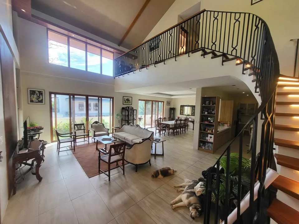 Bright open-plan living and dining area